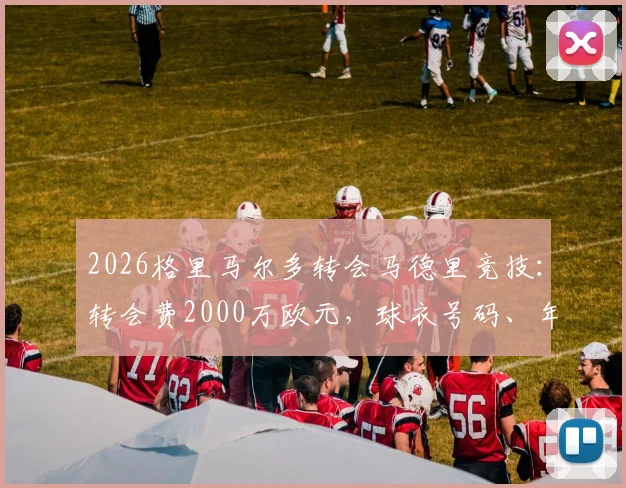 2026格里马尔多转会马德里竞技：转会费2000万欧元，球衣号码、年薪及罗马诺确认详情解析