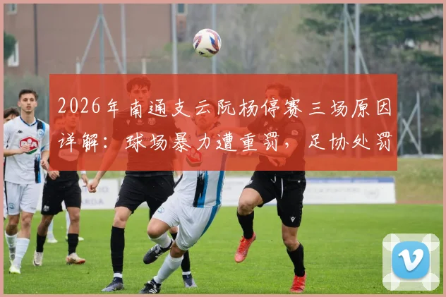 2026年南通支云阮杨停赛三场原因详解:球场暴力遭重罚,足协处罚标准分析